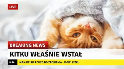 Media