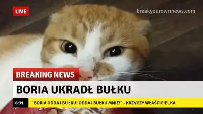 Media thumbnail