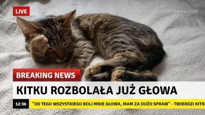 Media