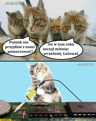 Media