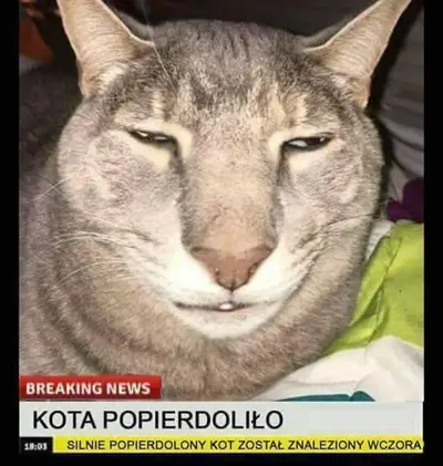 Media