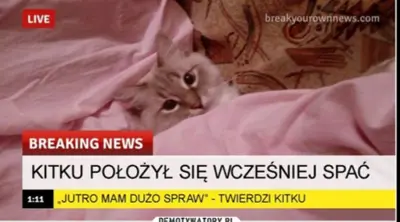 Media