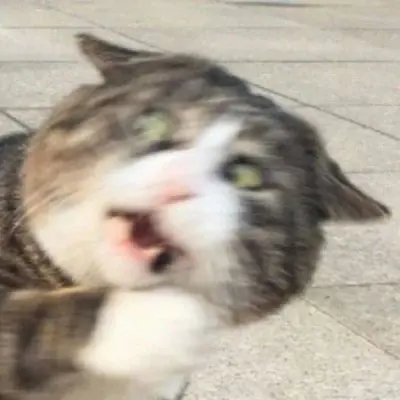 Media thumbnail