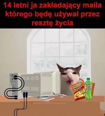 Media