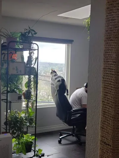 Media thumbnail