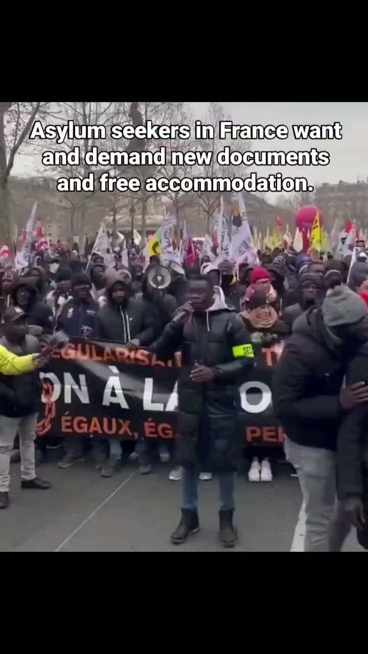 Media