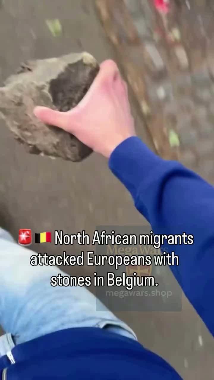 Media