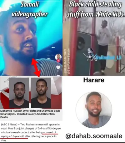 Media