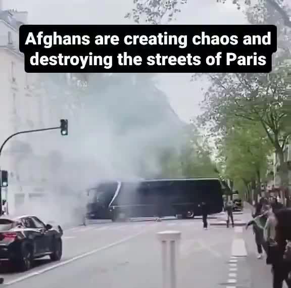 Media