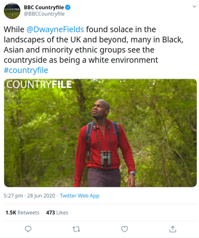 Media